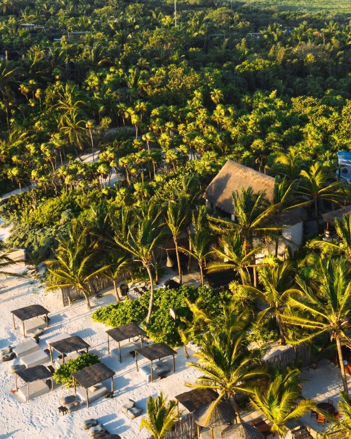 Nest Tulum Hotell Exteriör bild